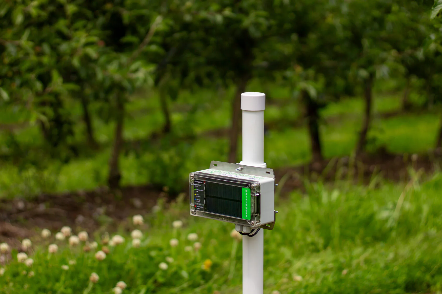 Farm field managed with SoilSense soil moisture sensors