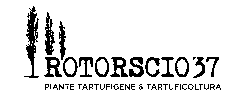 Rotorscio 37