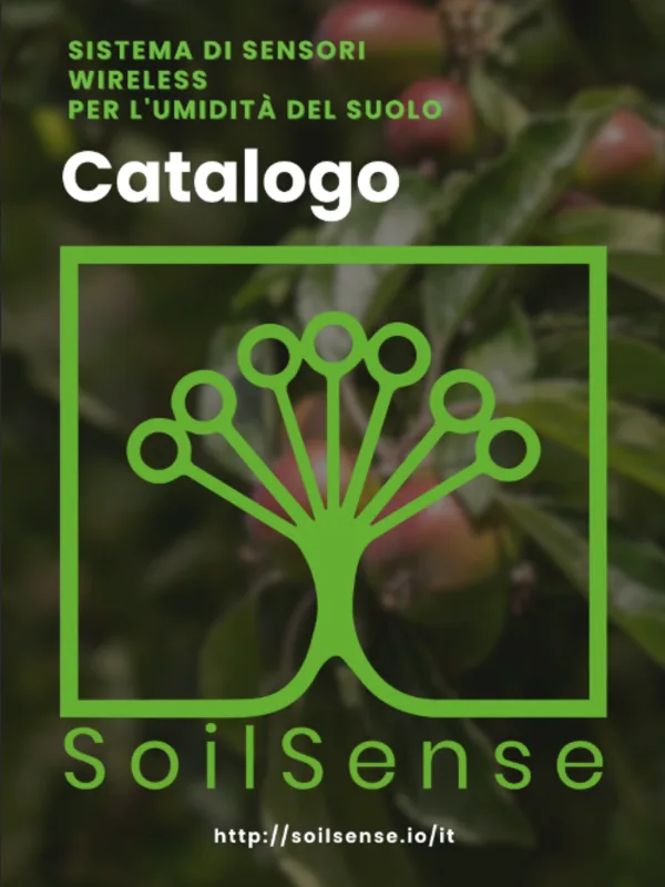 Catalogo