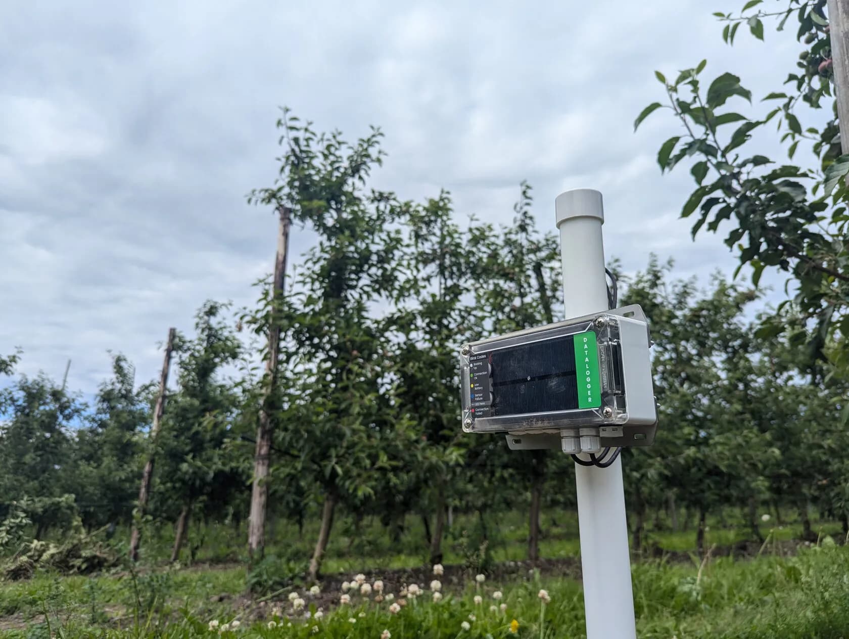 SoilSense soil moisture data flowing into other systems through an API and webhooks