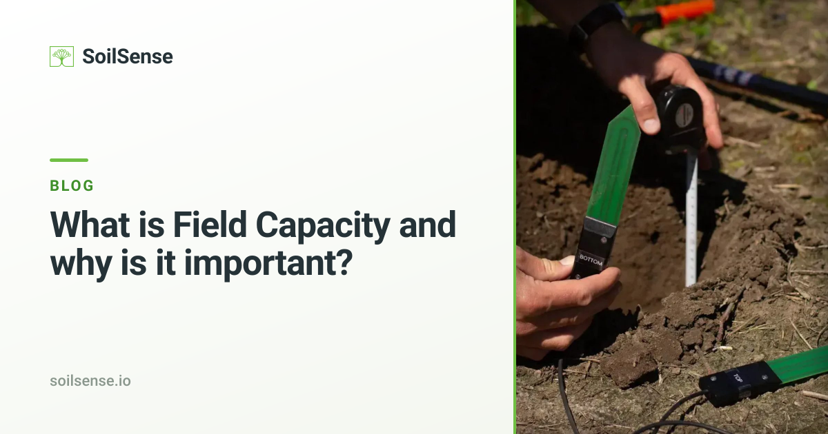 What is Field Capacity and why is it important? | SoilSense