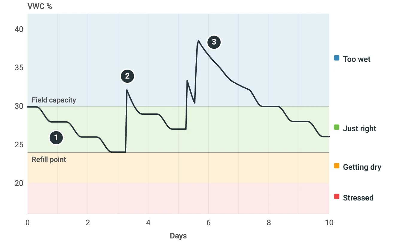 Line chart of soil moisture at 25 cm over ten days, drawn on bands for too wet (above field capacity at 30%), just right (24 to 30%), getting dry and stressed. The reading steps down a little each day, jumps after an irrigation at the refill point and drains back below field capacity within hours, then, after a scheduled irrigation followed by a storm, stays above field capacity for about two days.