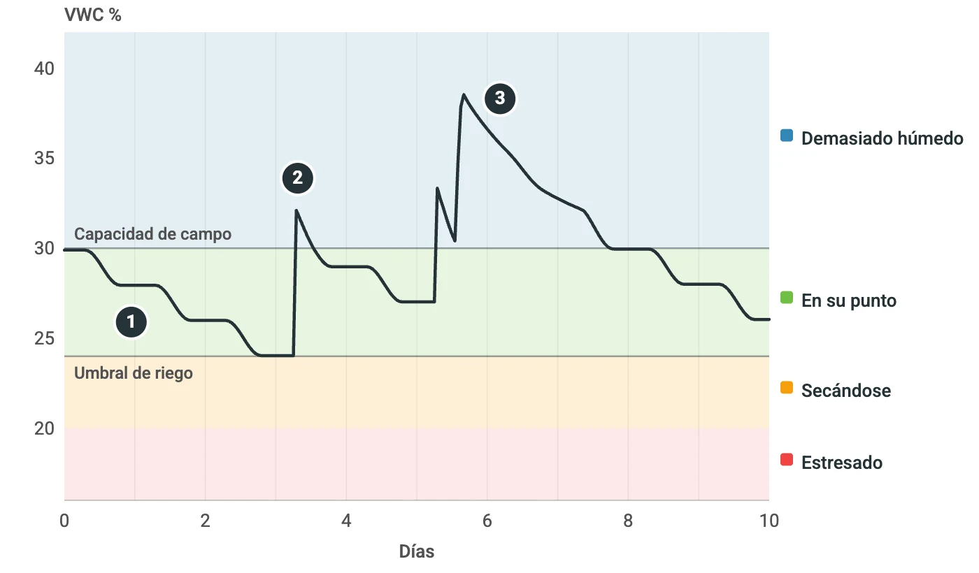 Gráfico de la humedad del suelo a 25 cm durante diez días, sobre las franjas demasiado húmedo (por encima de la capacidad de campo, en el 30 %), en su punto (del 24 al 30 %), secándose y estresado. La lectura baja un poco cada día, sube de golpe tras un riego en el umbral de riego y vuelve por debajo de la capacidad de campo en pocas horas; tras un riego programado seguido de una tormenta, se queda por encima de la capacidad de campo unos dos días.