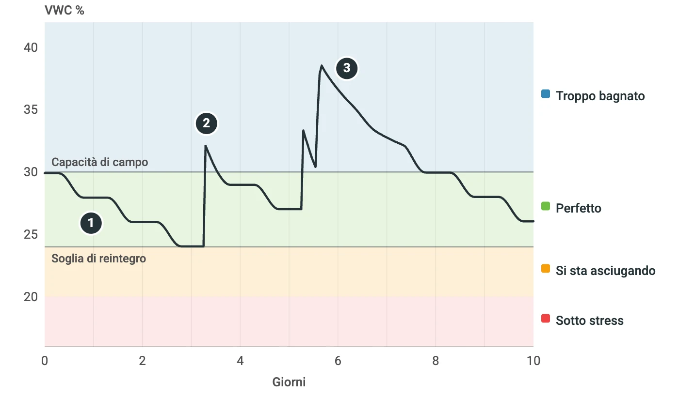 Grafico dell'umidità del suolo a 25 cm in dieci giorni, sulle fasce troppo bagnato (sopra la capacità di campo, al 30%), perfetto (dal 24 al 30%), si sta asciugando e sotto stress. La lettura scende un po' ogni giorno, sale di colpo dopo un'irrigazione alla soglia di reintegro e torna sotto la capacità di campo in poche ore; dopo un'irrigazione programmata seguita da un temporale, resta sopra la capacità di campo per circa due giorni.